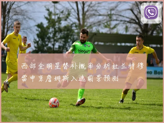 西部全明星替补概率分析杜兰特穆雷申京詹姆斯入选前景预测