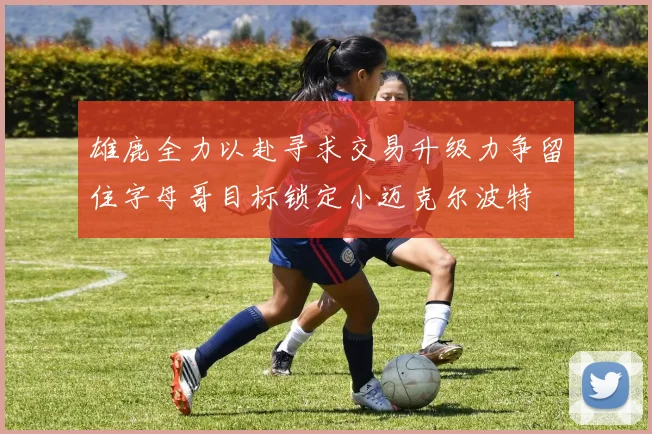 雄鹿全力以赴寻求交易升级力争留住字母哥目标锁定小迈克尔波特