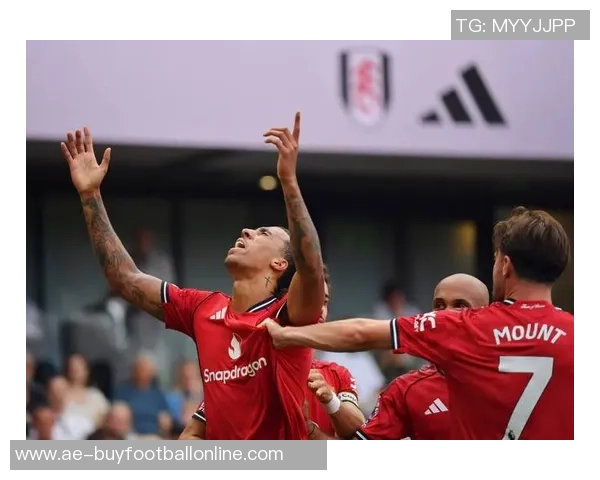 赖特直言曼联处理B费方式令人困惑若有机会愿立即签下他